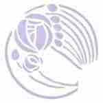 Torrington Dental Practice logo providing excellence in dental care
